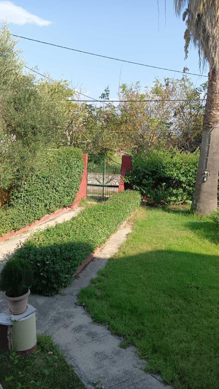 Il Mirto Verde Lefkimmi  Luaran gambar